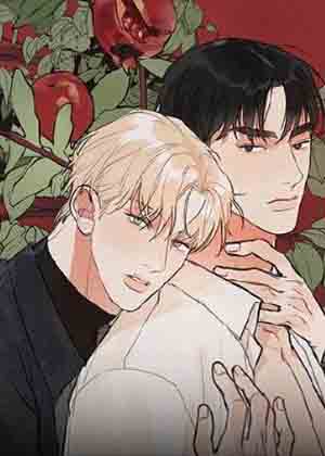 Pomegranate (石榴)